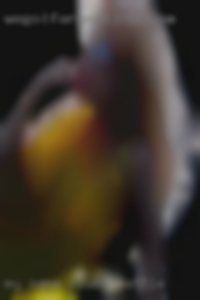 My name is club Seattle Mike and i m 32 yrs old. My name is club Seattle Mike and i m 32 yrs old.